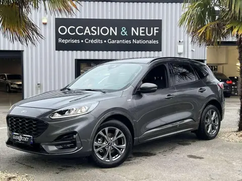 Annonce FORD KUGA Hybride 2022 d'occasion 