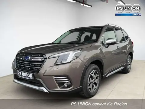 Annonce SUBARU FORESTER Essence 2024 d'occasion 