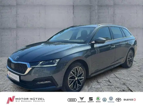 Annonce SKODA OCTAVIA Diesel 2021 d'occasion 