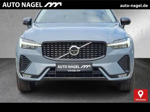 Used VOLVO XC60 Petrol 2024 Ad 