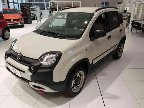 Used FIAT PANDA Petrol 2023 Ad 