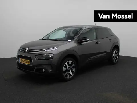 Used CITROEN C4 Petrol 2018 Ad 