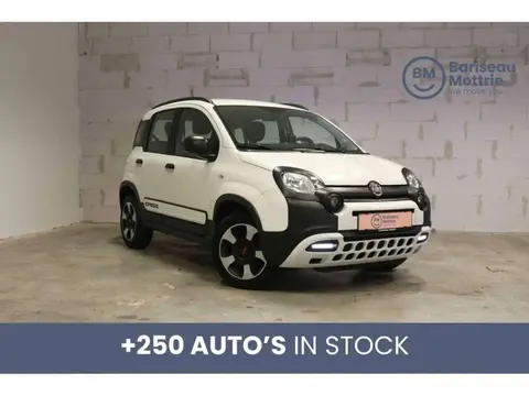 Annonce FIAT PANDA Essence 2019 d'occasion 