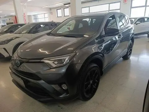 Used TOYOTA RAV4 Hybrid 2019 Ad 