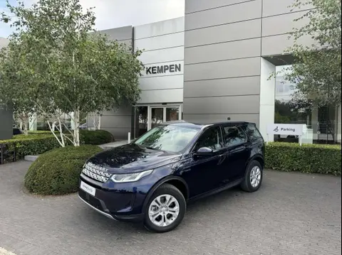 Used LAND ROVER DISCOVERY Hybrid 2023 Ad 