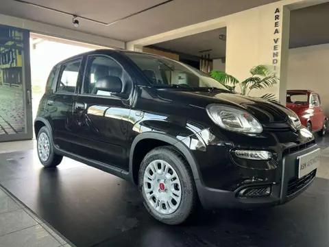 Annonce FIAT PANDA GPL 2024 d'occasion 