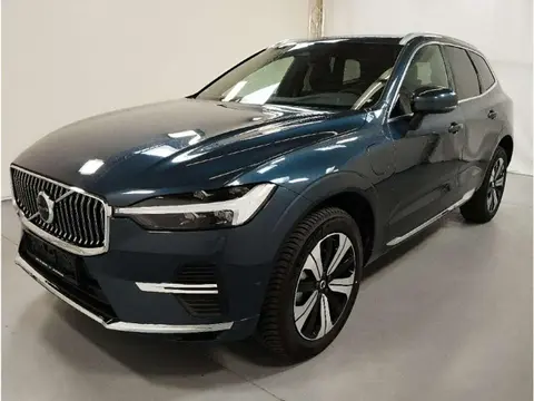 Used VOLVO XC60 Hybrid 2024 Ad 