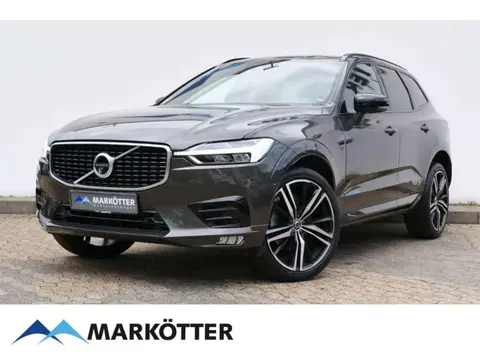 Annonce VOLVO XC60 Diesel 2019 d'occasion 