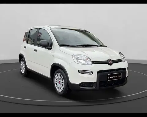 Annonce FIAT PANDA Hybride 2024 d'occasion 