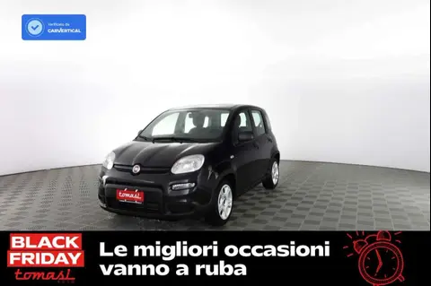 Used FIAT PANDA Hybrid 2024 Ad 