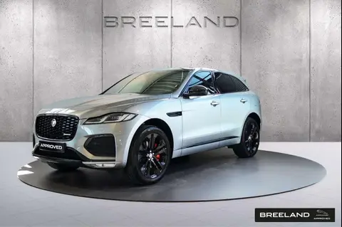 Annonce JAGUAR F-PACE Hybride 2024 d'occasion 