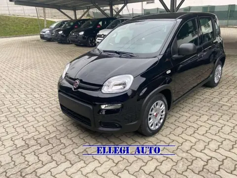 Annonce FIAT PANDA Hybride 2024 d'occasion 