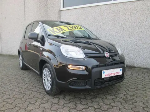 Annonce FIAT PANDA Hybride 2024 d'occasion 