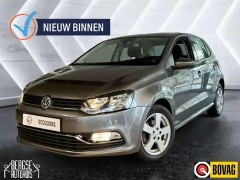 Used VOLKSWAGEN POLO Petrol 2015 Ad 