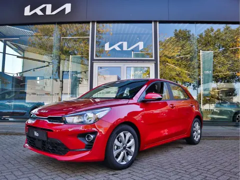 Annonce KIA RIO Essence 2023 d'occasion 