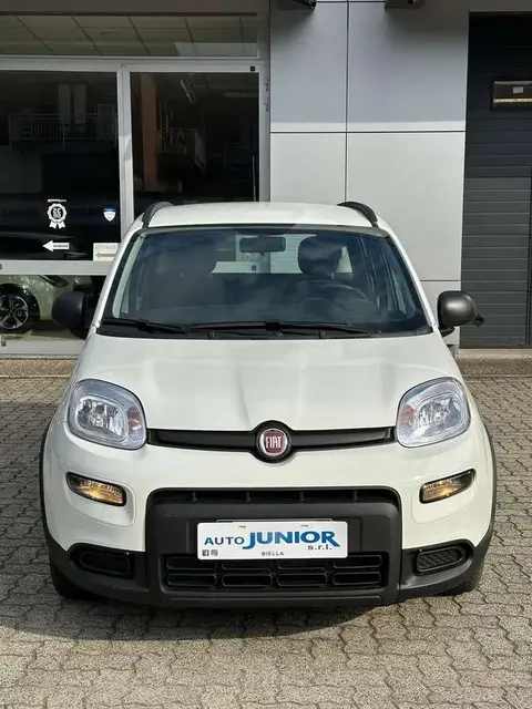 Annonce FIAT PANDA Hybride 2024 d'occasion 