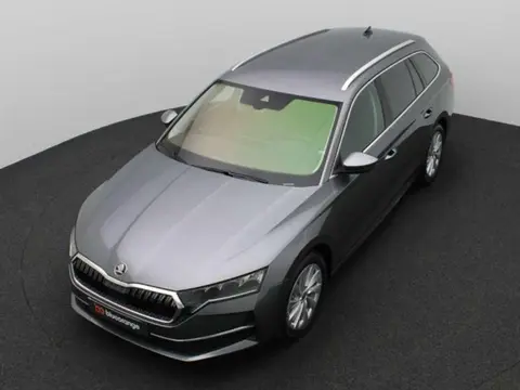 Used SKODA OCTAVIA Petrol 2024 Ad 