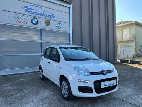 Used FIAT PANDA LPG 2020 Ad 