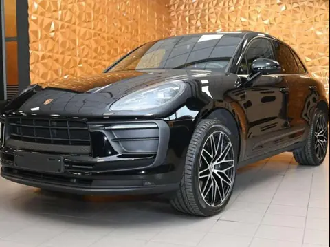 Used PORSCHE MACAN Petrol 2024 Ad 