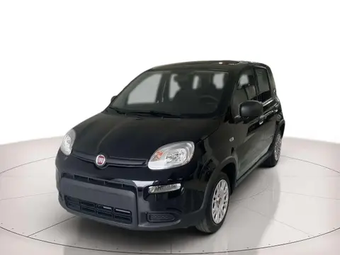 Used FIAT PANDA Hybrid 2024 Ad 