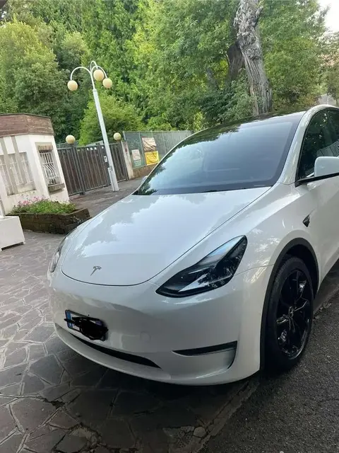 Used TESLA MODEL Y Electric 2021 Ad 