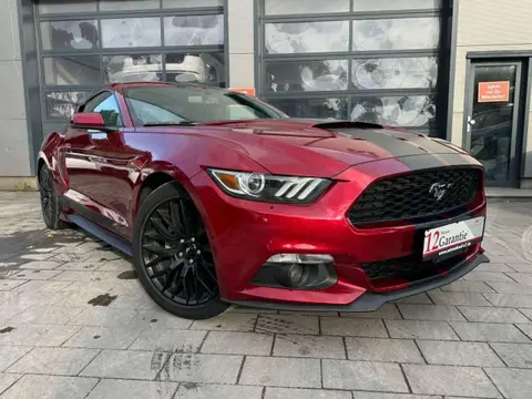 Used FORD MUSTANG Petrol 2015 Ad 