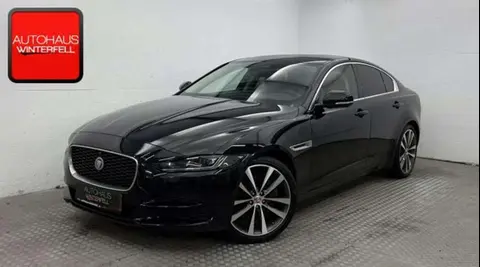 Used JAGUAR XE Diesel 2021 Ad 