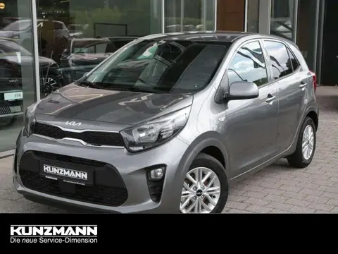 Used KIA PICANTO Petrol 2024 Ad 