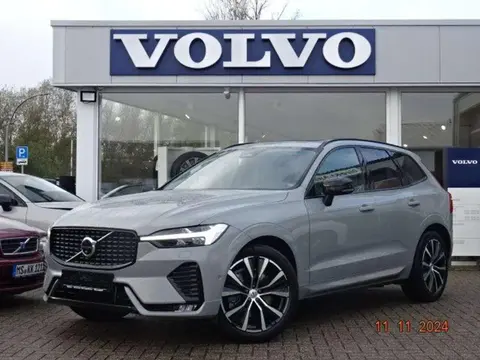 Used VOLVO XC60 Diesel 2023 Ad 