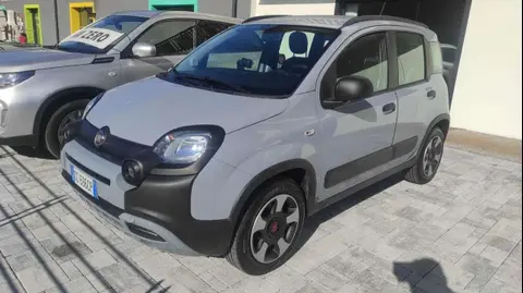 Annonce FIAT PANDA Hybride 2020 d'occasion 