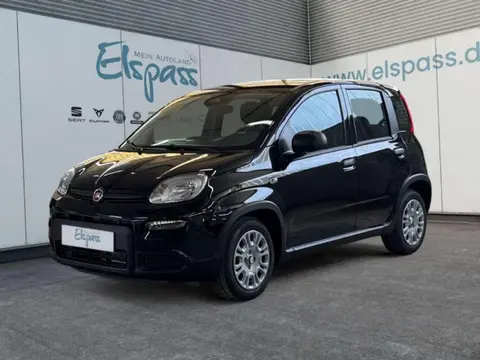 Annonce FIAT PANDA Essence 2024 d'occasion 