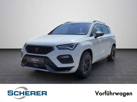 Annonce CUPRA ATECA Essence 2024 d'occasion 