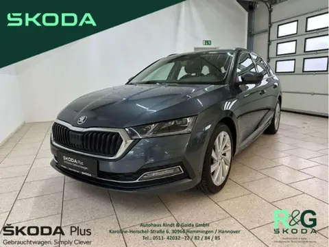 Used SKODA OCTAVIA Petrol 2020 Ad 