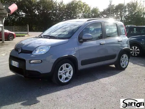 Used FIAT PANDA Hybrid 2022 Ad 