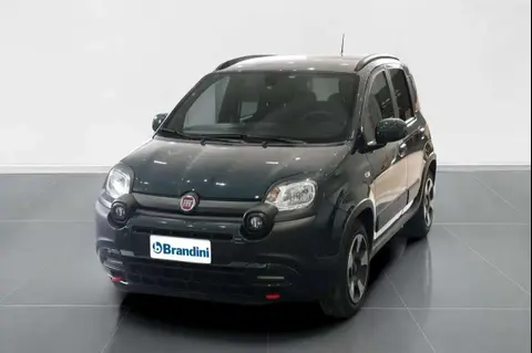 Used FIAT PANDA Hybrid 2023 Ad 