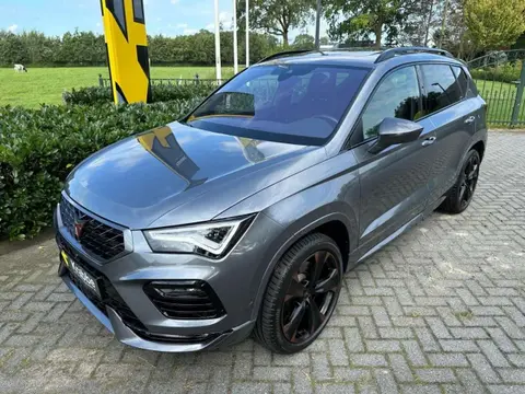 Used CUPRA ATECA Petrol 2022 Ad 