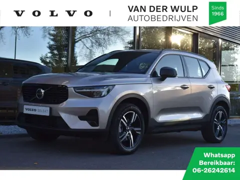 Used VOLVO XC40 Petrol 2024 Ad 