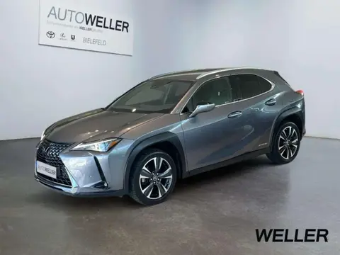 Annonce LEXUS UX Hybride 2021 d'occasion 