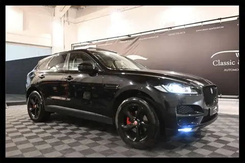 Used JAGUAR F-PACE Diesel 2017 Ad 