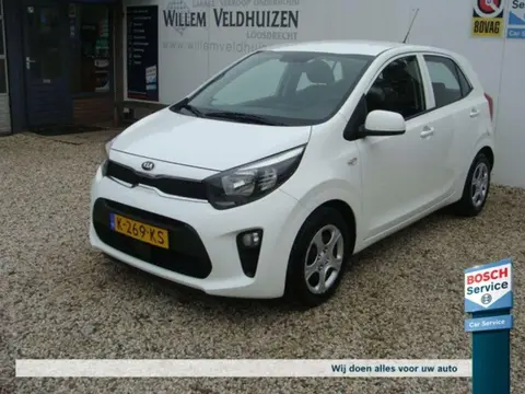 Annonce KIA PICANTO Essence 2021 d'occasion 