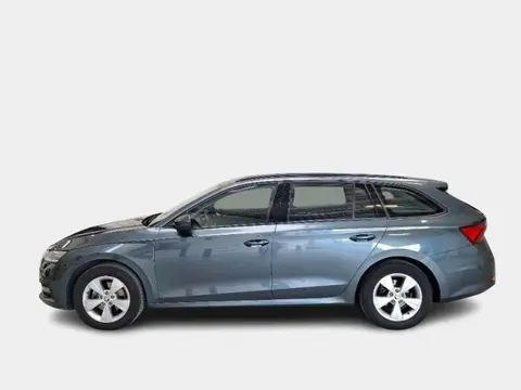 Annonce SKODA OCTAVIA Diesel 2020 d'occasion 