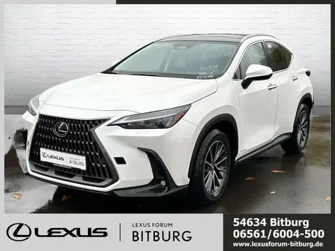 Annonce LEXUS NX Hybride 2023 d'occasion 