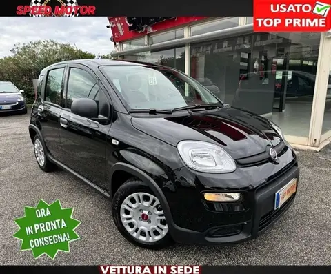 Used FIAT PANDA Hybrid 2024 Ad 