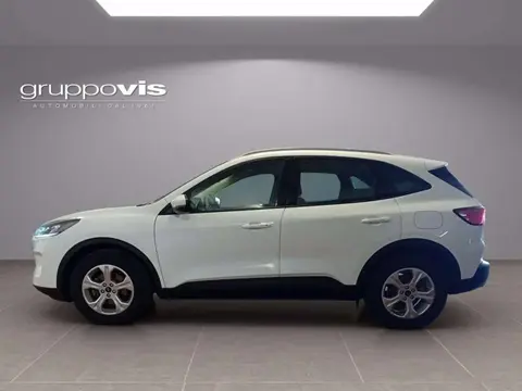 Used FORD KUGA Diesel 2021 Ad 