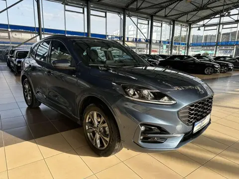 Annonce FORD KUGA Hybride 2022 d'occasion 