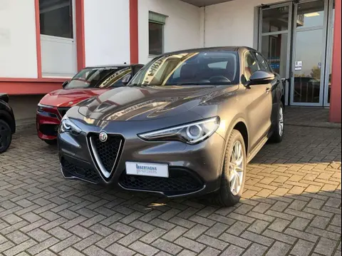 Used ALFA ROMEO STELVIO Diesel 2019 Ad 