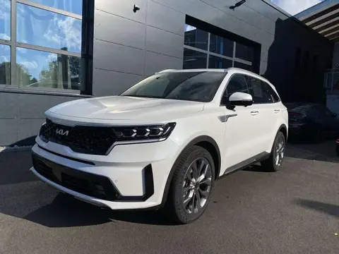 Annonce KIA SORENTO Diesel 2023 d'occasion 