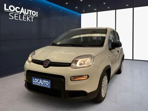 Used FIAT PANDA Petrol 2022 Ad 