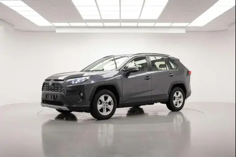 Used TOYOTA RAV4 Hybrid 2021 Ad 