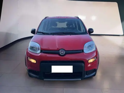 Annonce FIAT PANDA Essence 2021 d'occasion 